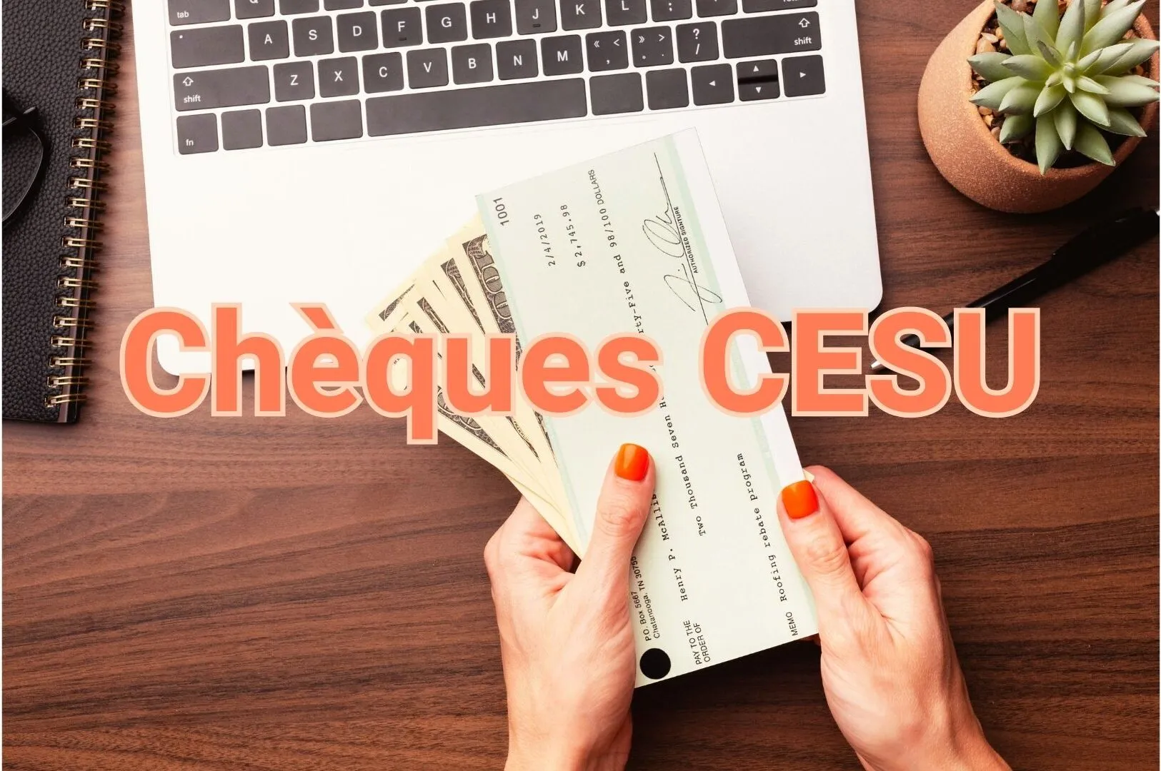 cheque cesu aidant familial simplifier demarche